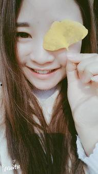 可可资料,探寻神秘果实的传奇与魅力