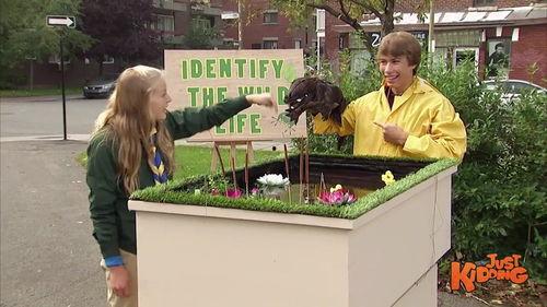 泰国鳄鱼搞笑视频