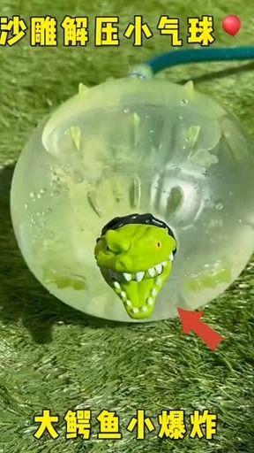 泰国鳄鱼搞笑视频