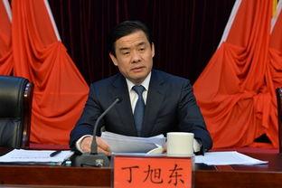 丁旭东个人资料,才华横溢的青年才俊，引领时代潮流的先锋人物